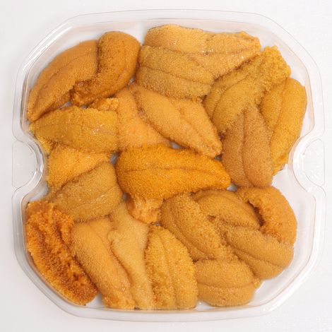Sea Urchin(Uni)