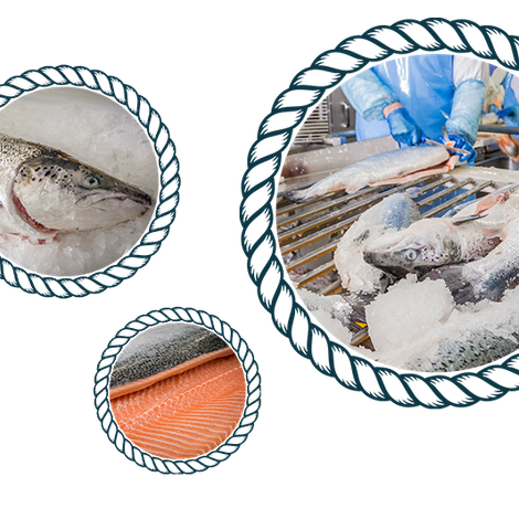 Fish-by-products.png