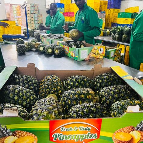 Marstran Group International Limited_ Pineapple_ MD2