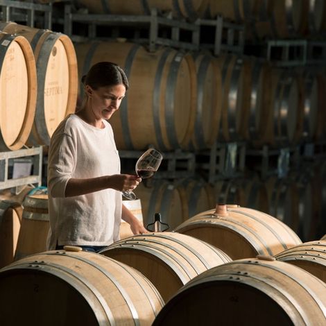 Bodega Septima - Cellar