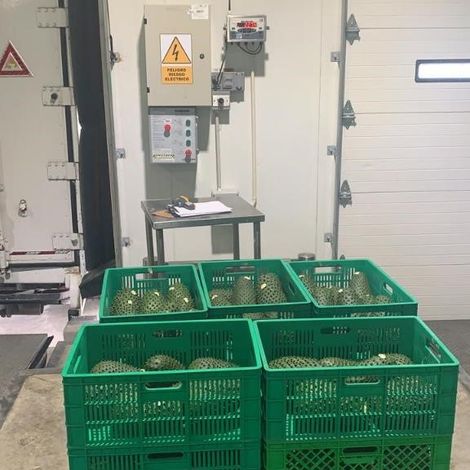 Proccesing Plant