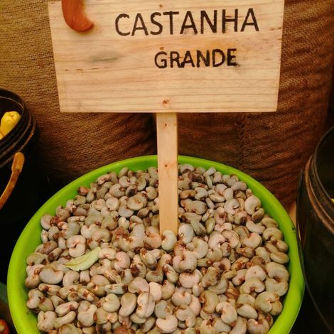 Large raw cashew nuts 2019-2020 crop