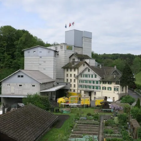 Bachtalmühle AG