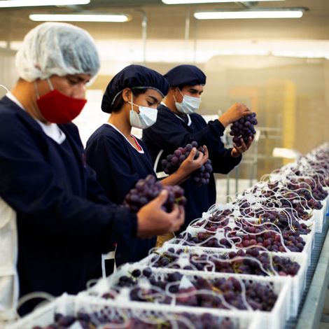 J & L Agroexportaciones S.A.C.