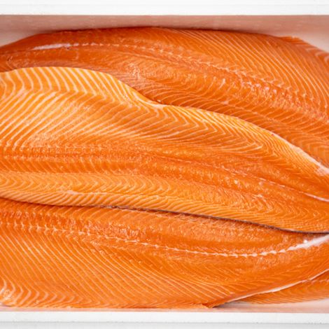 salmon