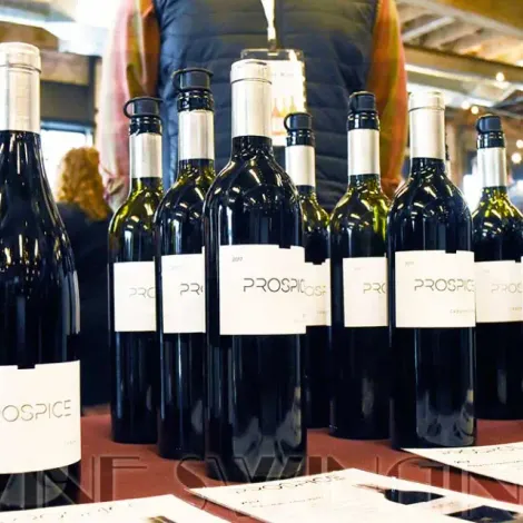 Prospice Wines