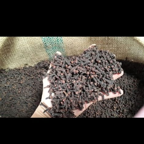 Finnest product of clove that you can find