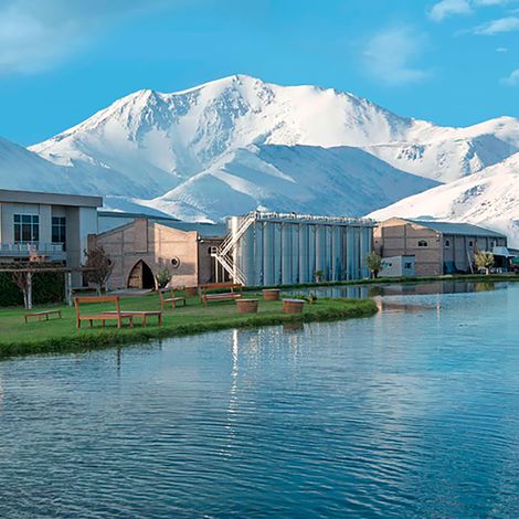 DOMAINE BOUSQUET VINEYARD 3.jpg