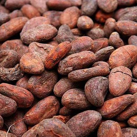 Cocoa Beans