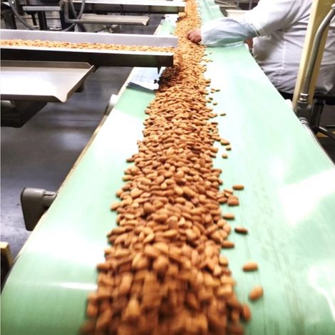 EIE_Almond_NPX_Processingline2