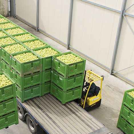 Select Fruit - Apple Sorting Station