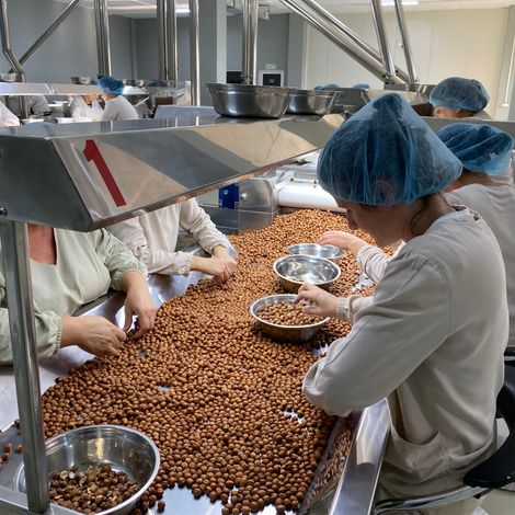 Production