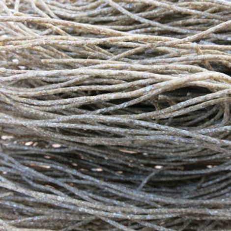 Rye Noodles