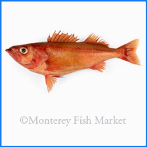 M.F.M. Seafood - Monterey Fish Market