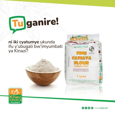 Kinazi Cassava Plant