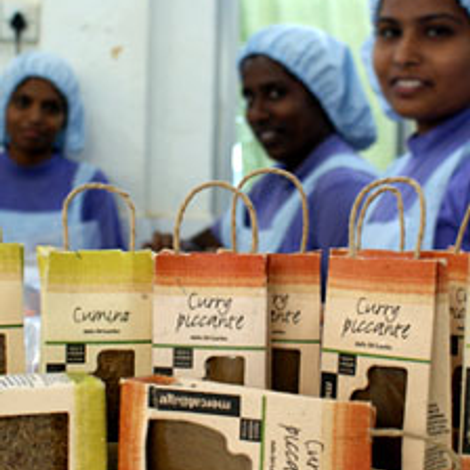 People’s Organisation for Development Import & Export (PODIE)