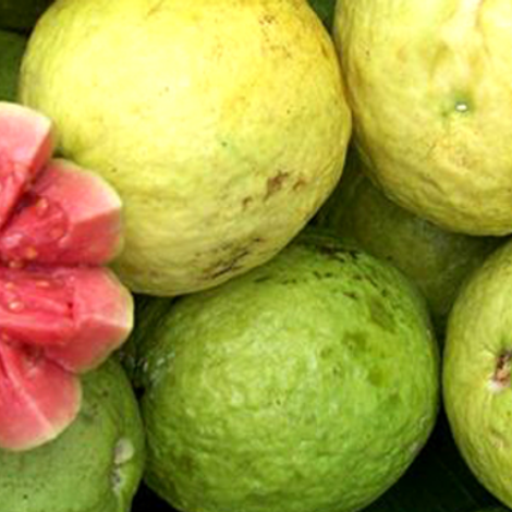 Roshan Fruits India Private Limited