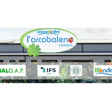 La nostra nuova azienda