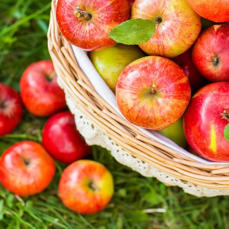Basket of Apple