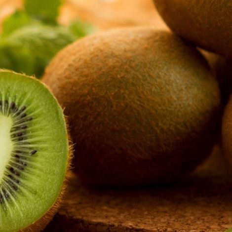 A.S.E.A ARGICULTURAL COOPERATION OF KIWI EXPLOITATION