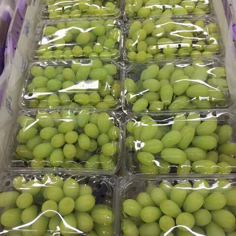 Grapes Packed