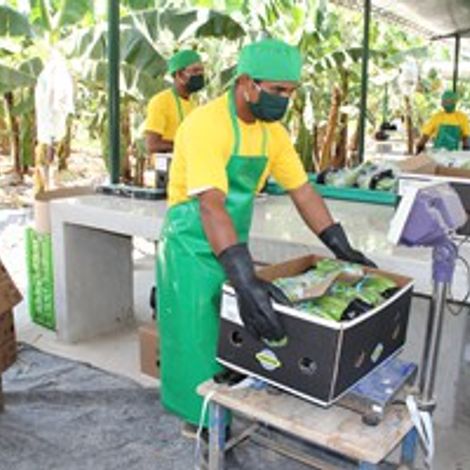 Cooperativa Agraria Apbosmam - Production Area