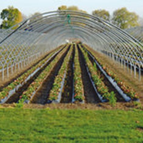 Farm