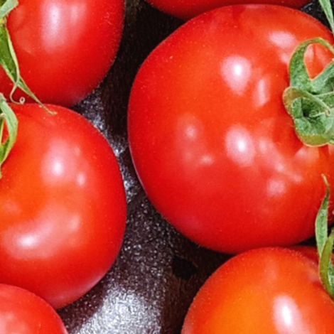 GEKO Fruchthandels GmbH