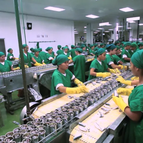Permex Producer and Exporter Corporation - Production Area
