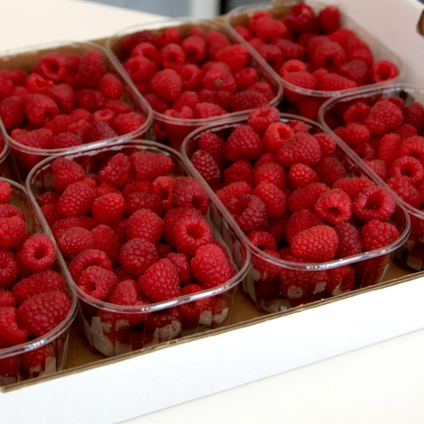 Screenshot 2023-02-14 at 7.53.57 AM.png