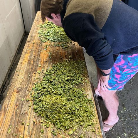 HOP HEAD FARMS, LLC