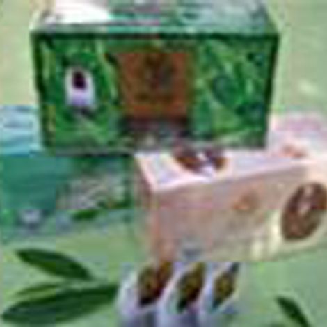 Michiko & Pani Company