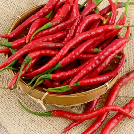 Chilli, Onion, Garlic