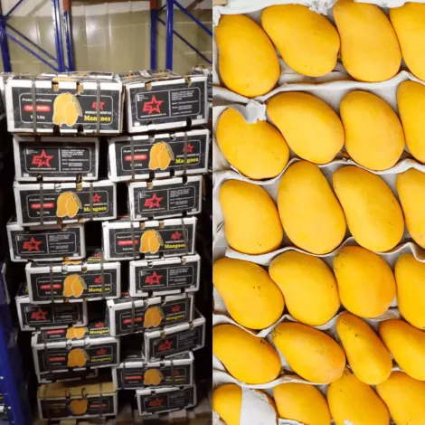 Epic Star Foodstuff Trading LLC