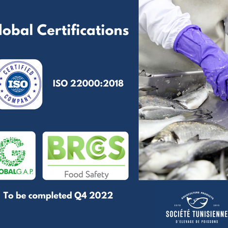 Global Certifications.png
