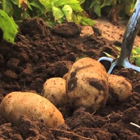 Advait Agrotech Private Limited