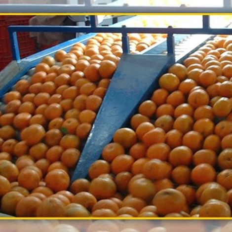 Supreme Kinno Factory