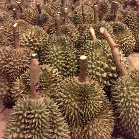 Whole Durian