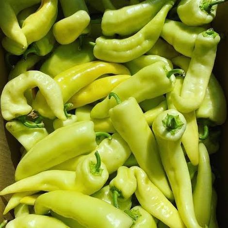 Beautiful Banana Peppers ready for export