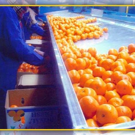 Supreme Kinno Factory - Production