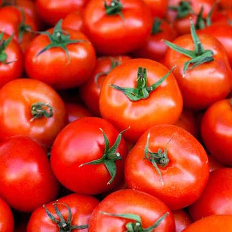 Mike's Produce Service