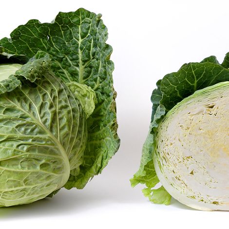GEVEMO Vegetable Processing GmbH
