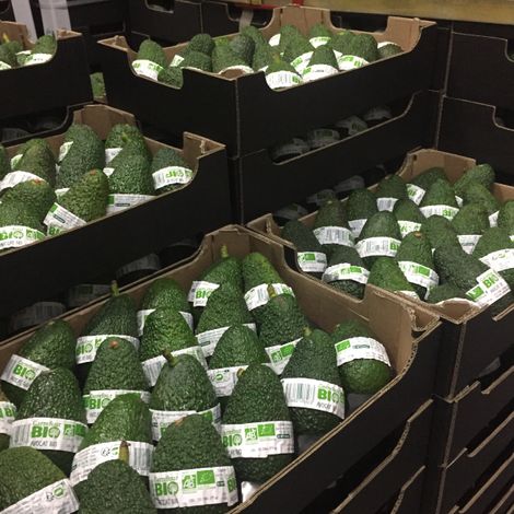Natural Tropic_Avocado_BIO for Carrefour