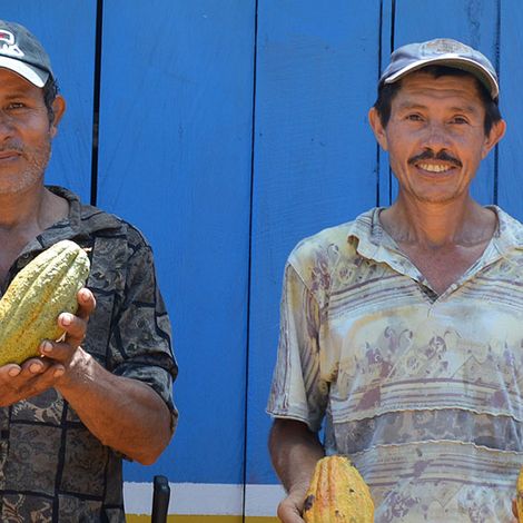 ASOCIACION NACIONAL CACAOTERA DE COLOMBIA