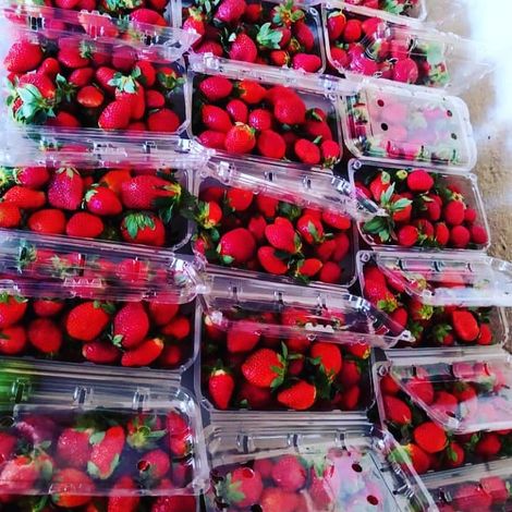 Sommy foodmart - Products