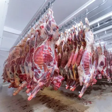 canal-completo-res-Colbeef-600x600.jpg.webp