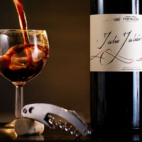 Fortaleza Vineyard.jpg