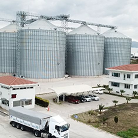 Abalıoğlu Balık ve Gıda ürünleri A.Ş. - Plant