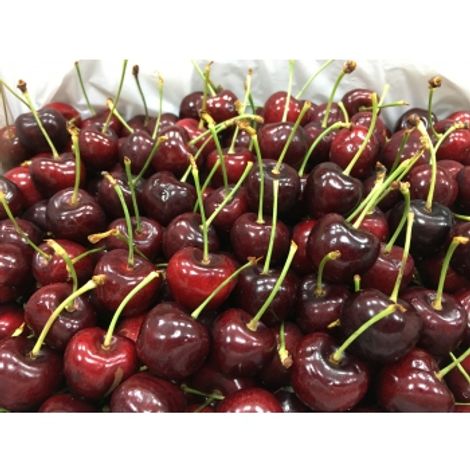 new zealand cherries