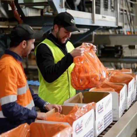 Center West Exports - Packaging Area